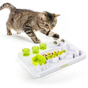 Snack Puzzle